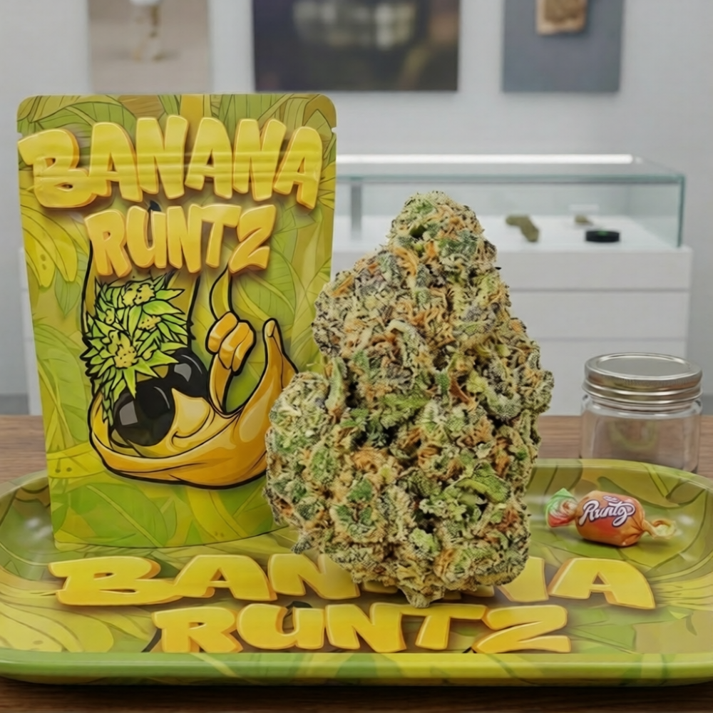 yc50w48zsxrmr0cwttebfmaj4w